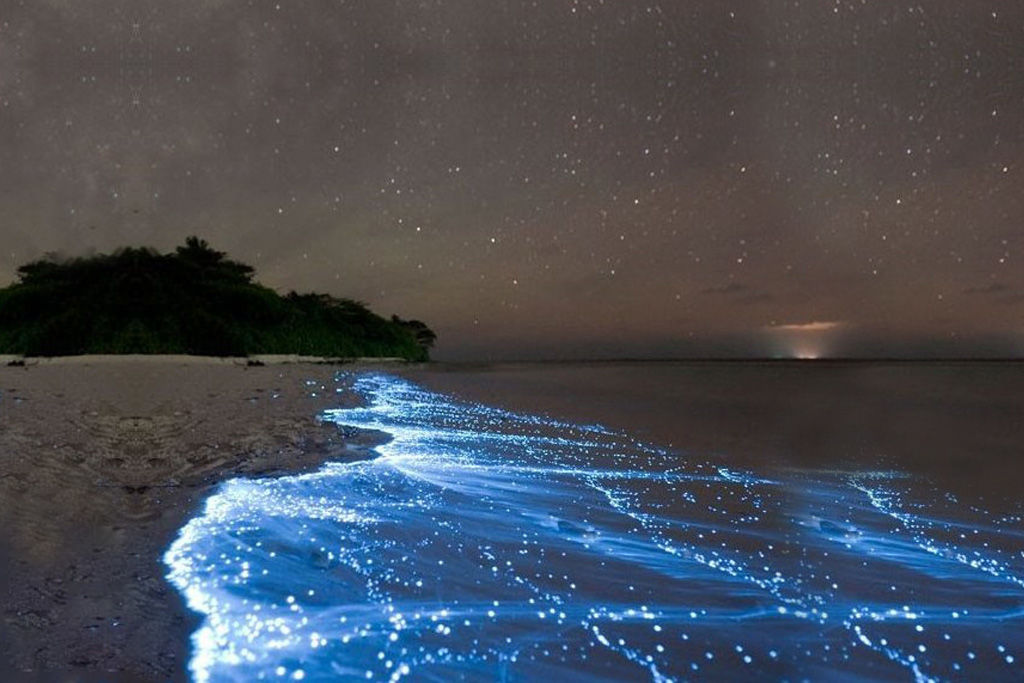 Bahia Mosquito en Vieques - Foto via Bahia Beach web - diciembre 30 2019